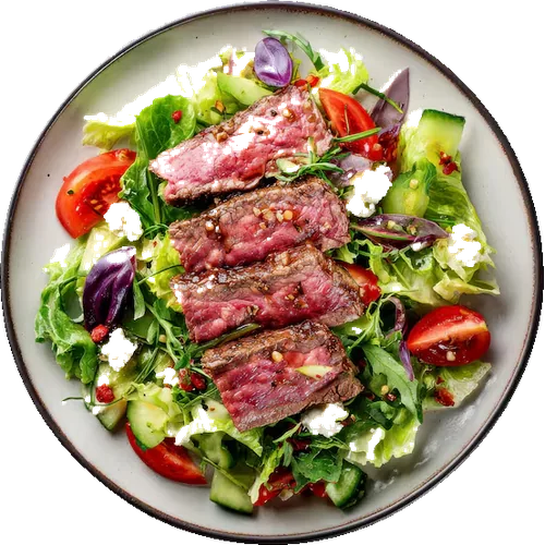 Carnivore δίαιτα